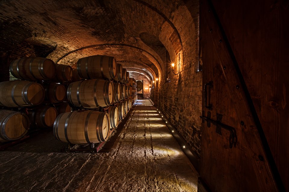 Wineries and wine tastings in Monferrato