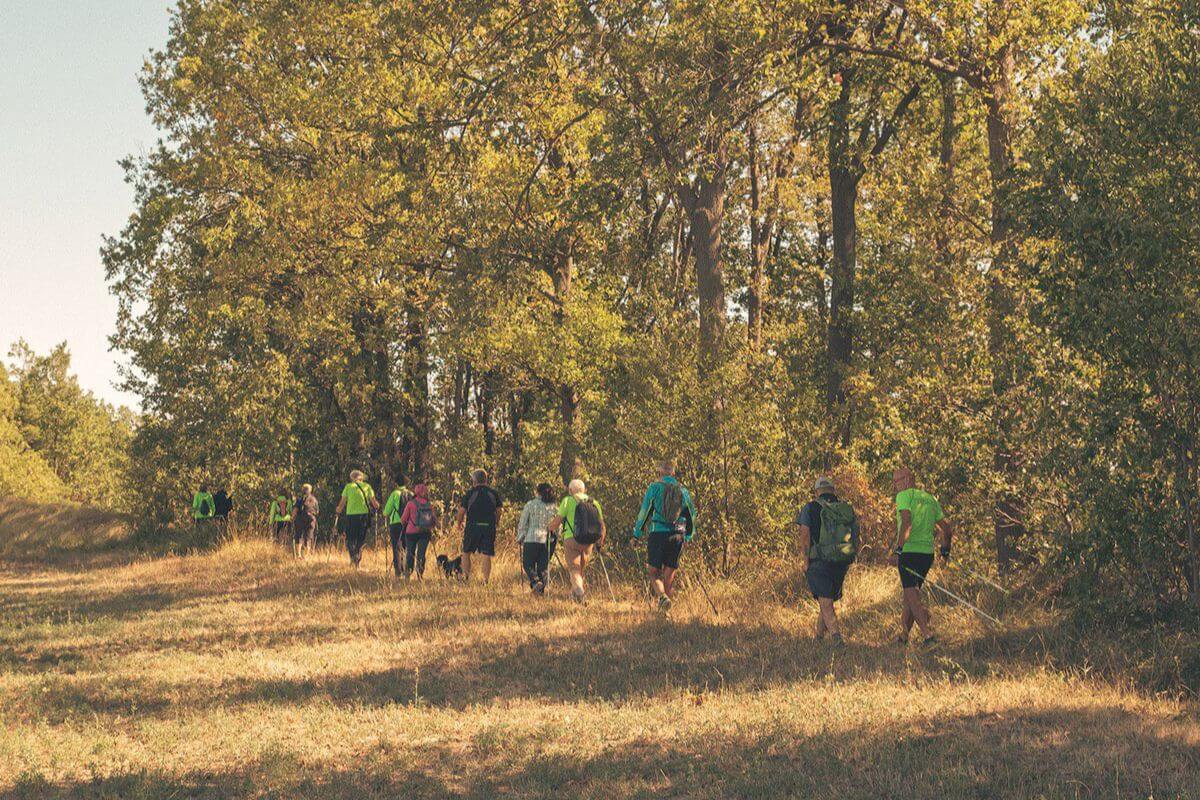 Trekking nel Monferrato